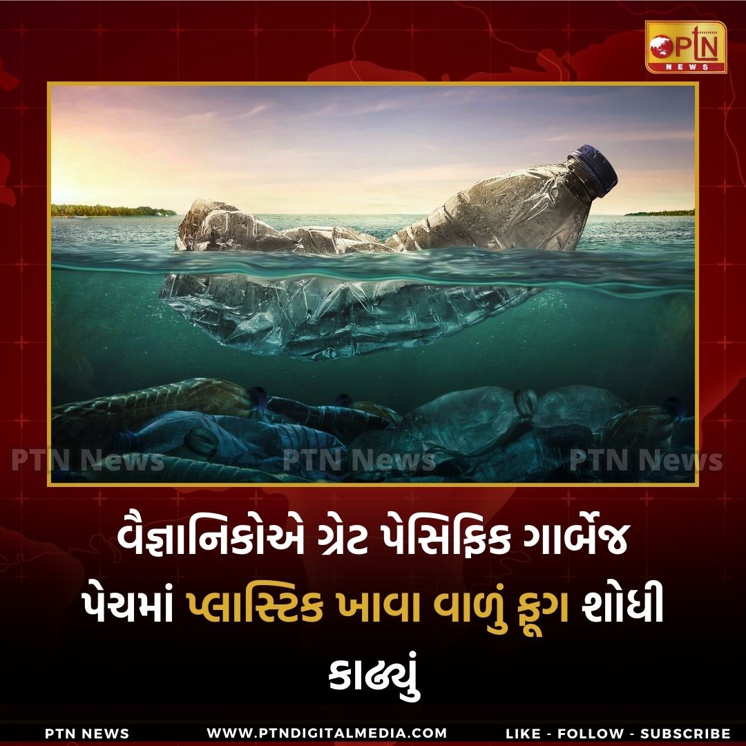 Ptnnewsofficial's tweet image. વૈજ્ઞાનિકોએ ગ્રેટ પેસિફિક ગાર્બેજ પેચમાં પ્લાસ્ટિક ખાવા વાળું ફૂગ શોધી કાઢ્યું

#GreatPacific #GarbagePatch #plasticdegradation #plasticwaste #marinefungi #marinebiologist #internationalcohort #RoyalNetherlands #ptnnews
