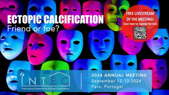 Our annual meeting is going to propose free livestream 
Please visit our website to register and join us starting tomorrow

itnintec.com/join-us-for-th…