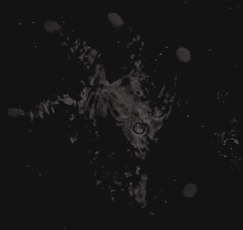 ᅠ ᅠ ᅠ ᅠ𝖉𝗲𝗮𝗿 𝖇𝗿𝗼𝘁𝗵𝗲𝗿, tweet media