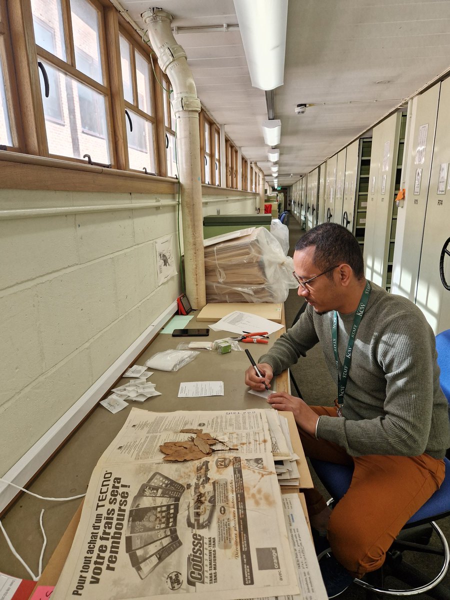 Clare Callow (@clare_callow) on Twitter photo Valuable few days in the herbarium trying to progress the identification of trees from Antavolobe. Hoping DNA will help with the mission. Thanks to <a href="/WestonFdn/">Garfield Weston Foundation</a> for providing support for rare and endemic trees of Madagascar Valuable few days in the herbarium trying to progress the identification of trees from Antavolobe. Hoping DNA will help with the mission. Thanks to <a href="/WestonFdn/">Garfield Weston Foundation</a> for providing support for rare and endemic trees of Madagascar
