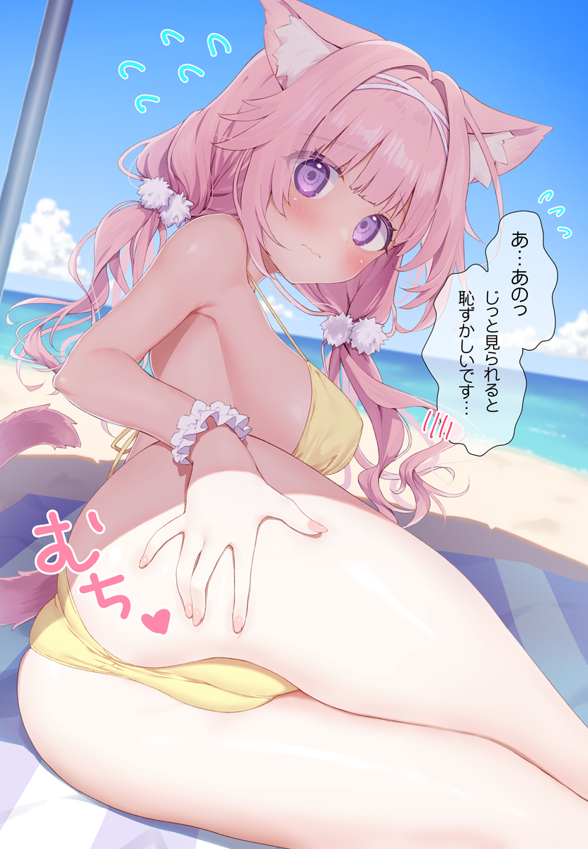 初めてビキニに挑戦してみたネコちゃん🐈 