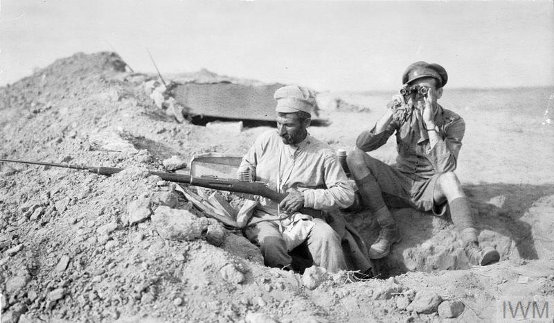 john wilson tweet media