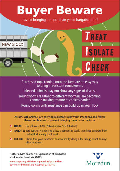 MoredunComms's tweet photo. Looking forward to the Kelso Ram sale on Friday 23th Sept 2024.
Buyer Beware - avoid bringing in more than you'd bargained for!
#TreatIsolateCheck #roundworms #scab https://t.co/MUMyxtXjX4