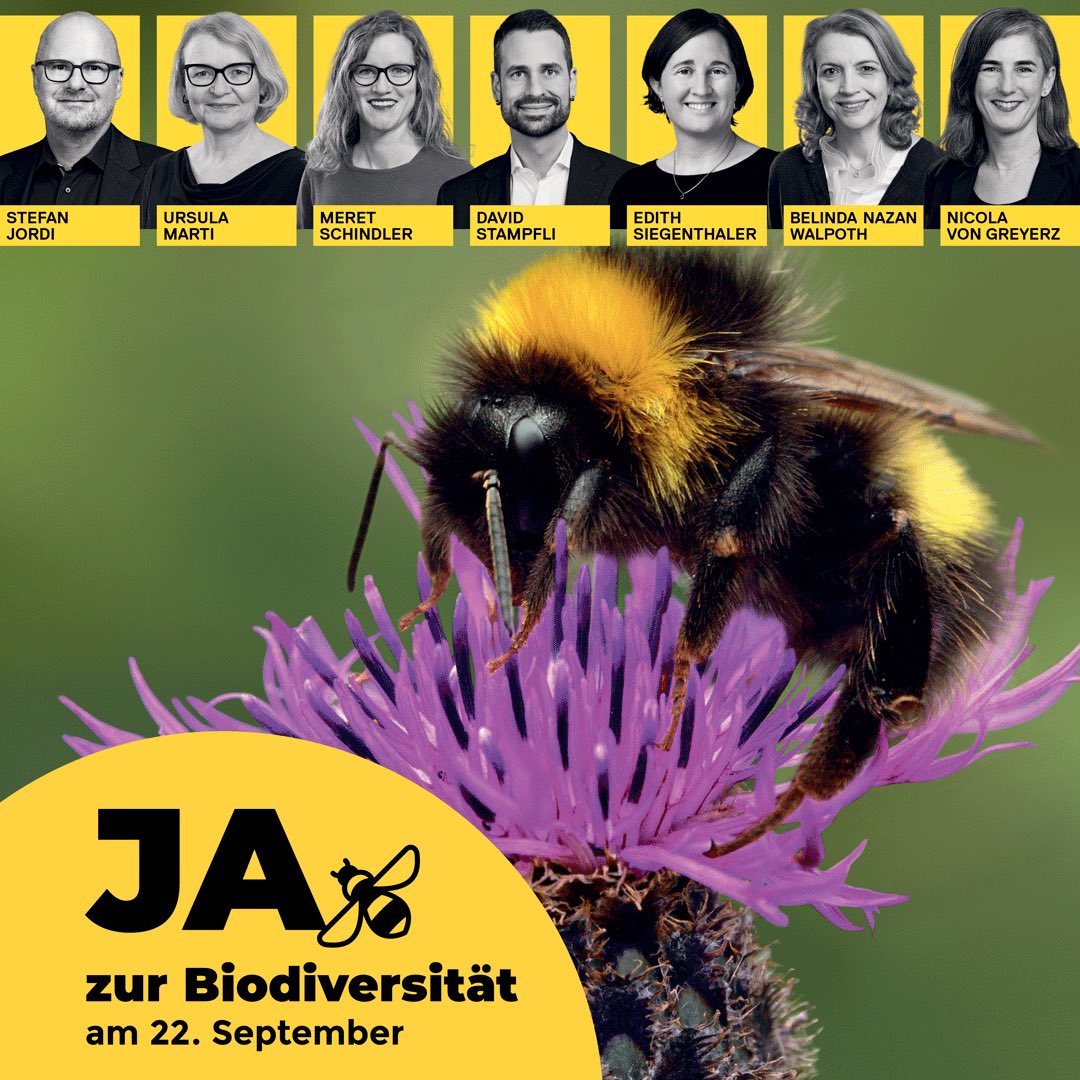 Schützen, was wir brauchen! Wir sagen alle Ja zur Biodiversitätsinitiative! 🌿🦋🐝

#abst24 #biodiversität <a href="/biodivInit/">Biodiversitätsinitiative</a> <a href="/spkantonbern/">SPBE</a> <a href="/SP_Stadt_Bern/">SP Stadt Bern</a>