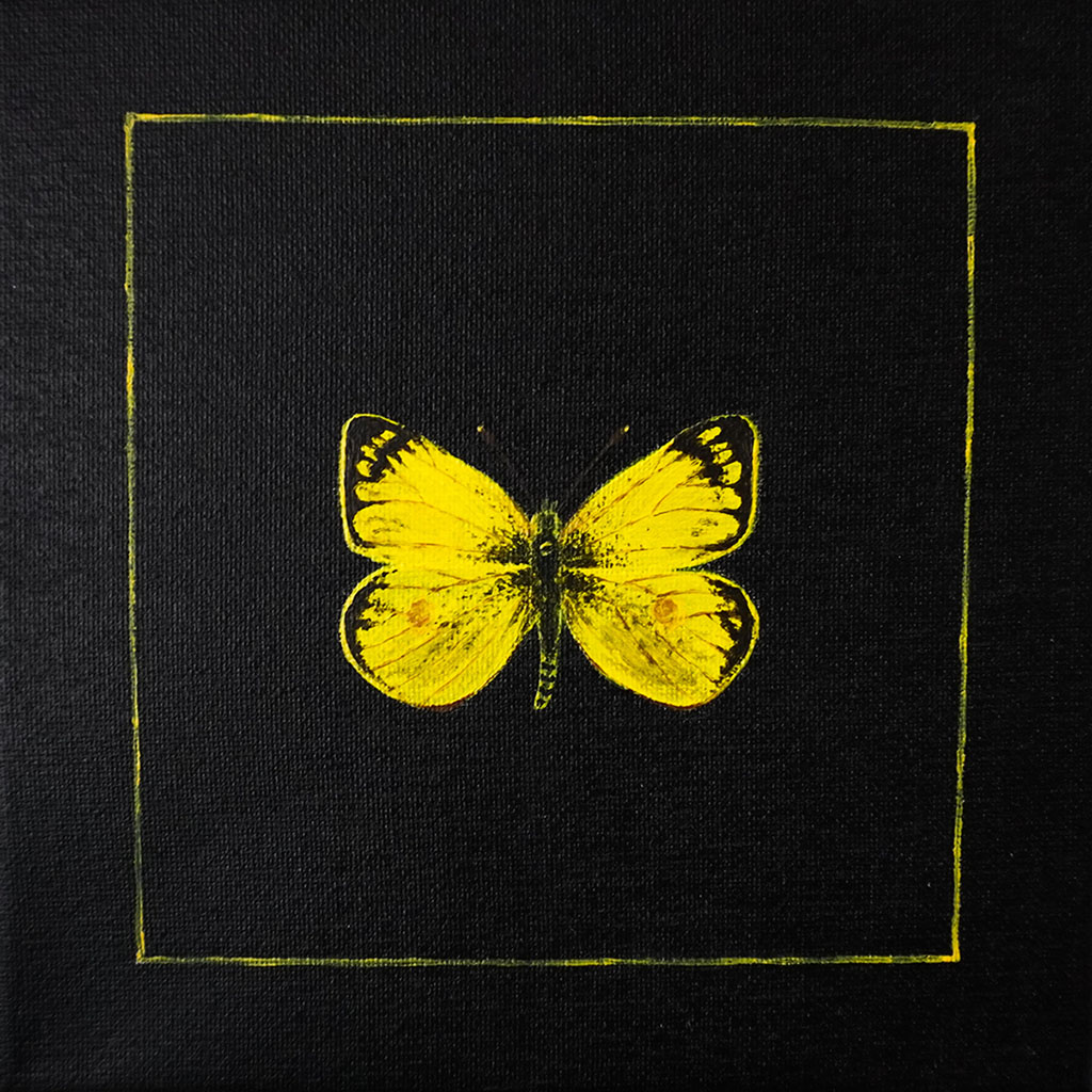 brahmavatara's tweet photo. Second butterfly to the collection.

Colias hyale, also known as the Pale Clouded Yellow, is a medium-sized butterfly found across Europe and parts of Asia.

#objkt #tezos_art #butterfly #NFT 

https://t.co/FWKapAtKPU https://t.co/Yup4fnXep3