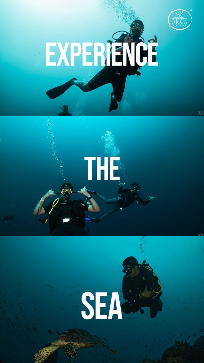 Are you ready to experence the sea! DM us now for details.
#DIVE #oceanlife #scuba