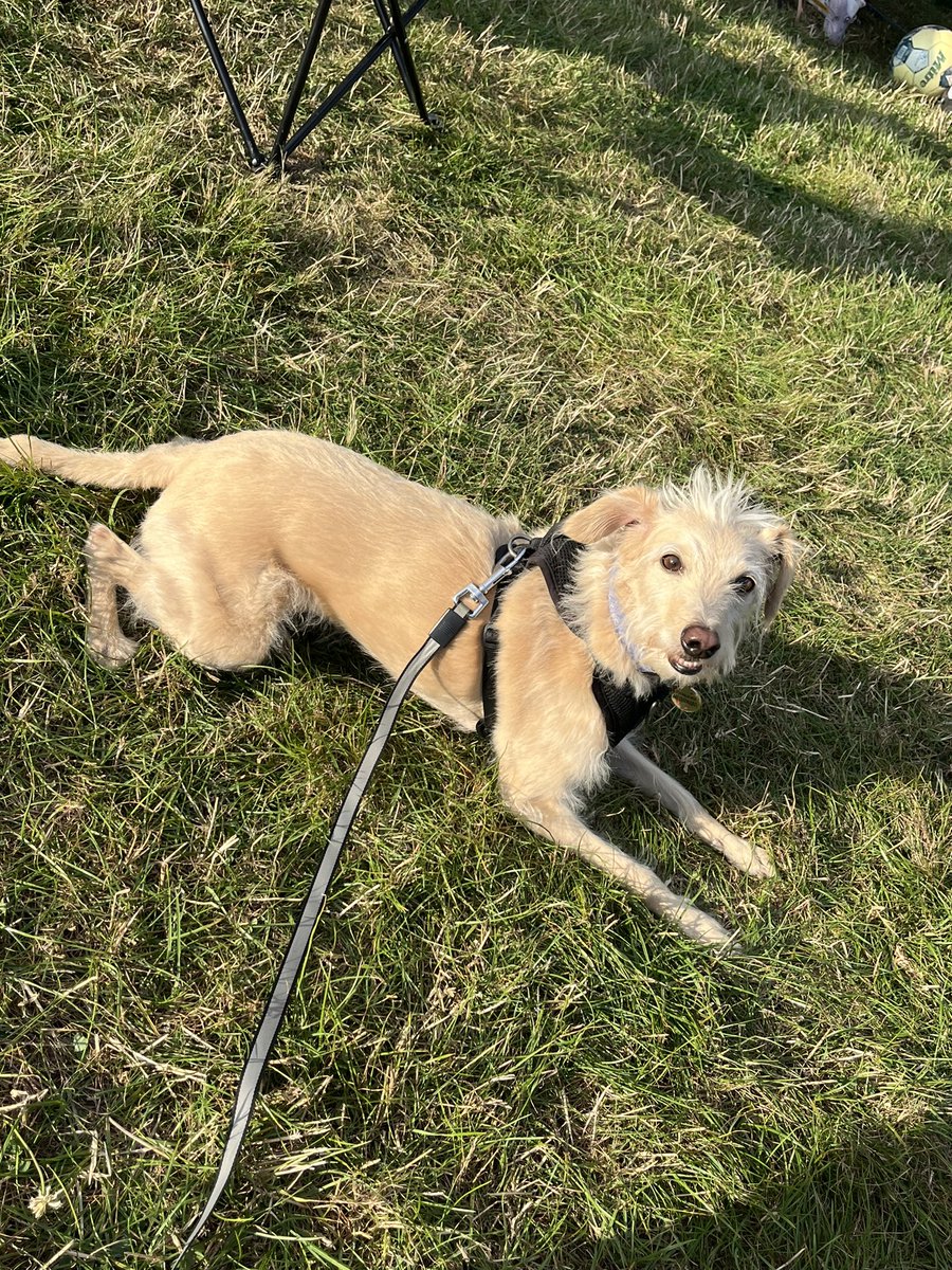 Claire Swaffield tweet media