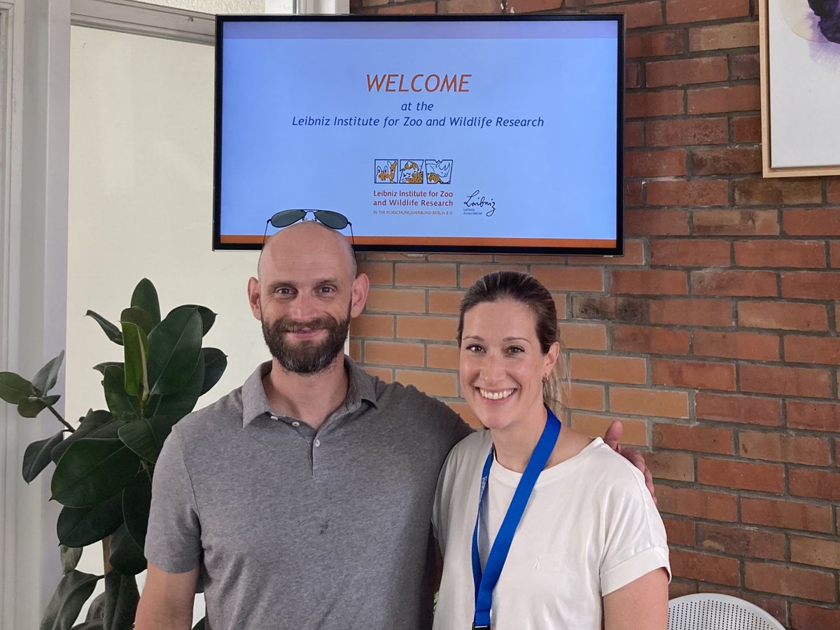 Im Leibniz Institute for Zoo and Wildlife Research in Berlin werden bis Ende des Jahres über 1000 Umwelt-DNA-Proben untersucht, um dem Saola, einer seltenen Wildrindertierart, auf die Spur zu kommen und es vor dem Aussterben zu bewahren.

#biodiversity #conservation #wildlife