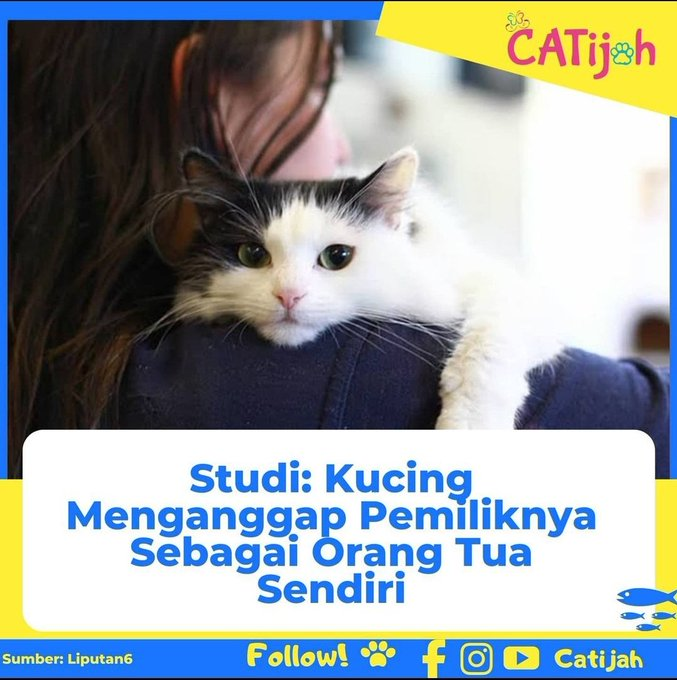 Pets 🐈🐕🦺🐇🐦 Fess tweet media