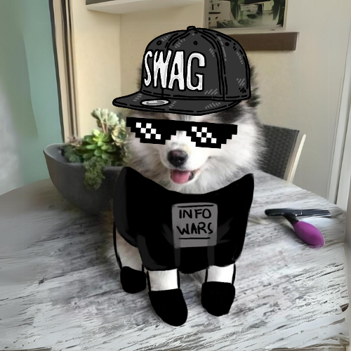 caneonsol tweet media