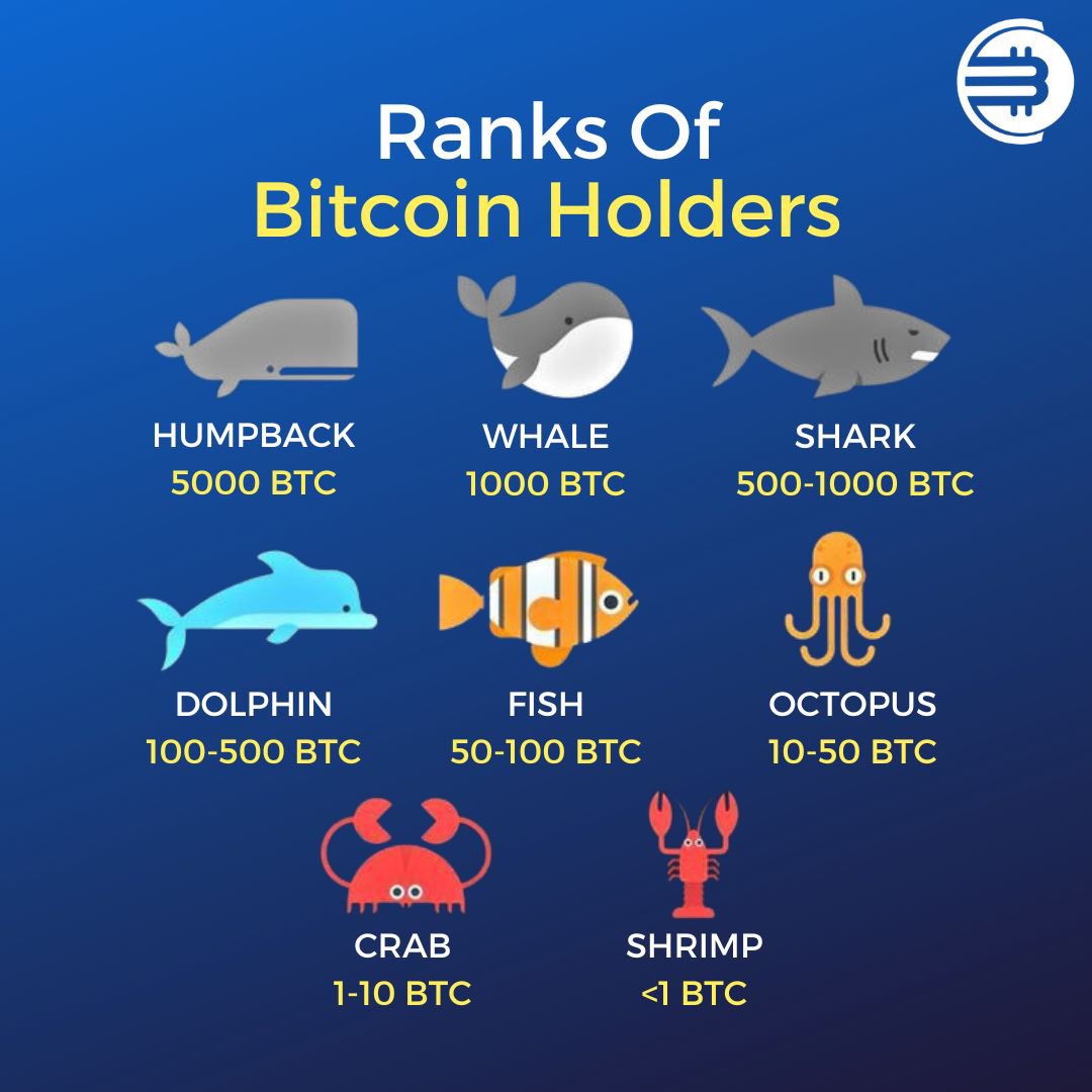 cryptos_movers's tweet photo. 📊 Curious about who holds the most Bitcoin? Check out the latest rankings and see how the big players are stacking up! 🚀💰 

#BitcoinHolders #CryptoRanks #BlockchainElite #BTCWealth #DigitalGold #CryptoCommunity #CryptoTrends #WealthInCrypto #BTCStatus #CryptoMovers https://t.co/QNg8Mq2wxl