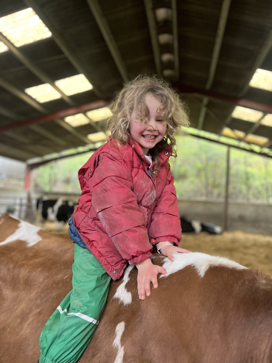 #BackBritishFarmingDay <a href="/NFUDorset/">NFU Dorset</a> 

Let’s recognise and celebrate the work of farmers and ensure British food continues to thrive! 🇬🇧🥦🥕 

Share share share the message 

💚 #SupportLocal #BritishFarming #FarmersMatter