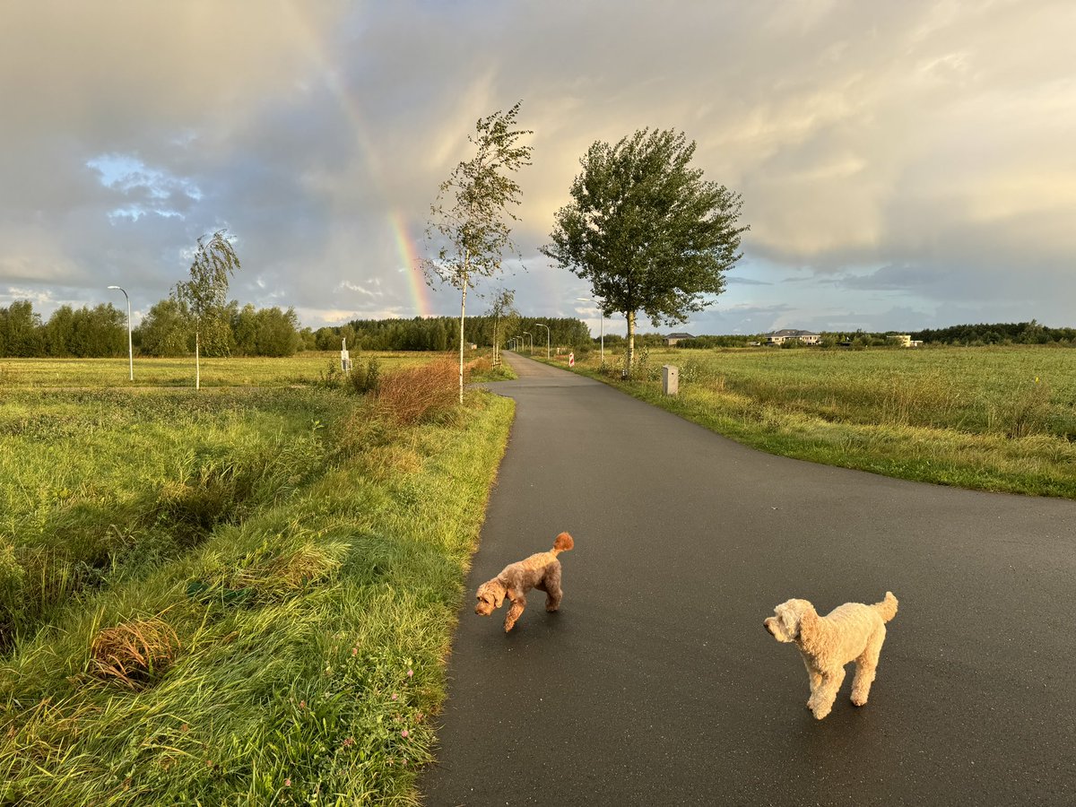 grand_nb's tweet photo. Woensdagochtend wandelochtend in het #Oldambt #Graanrepubliek https://t.co/1f36tbz8Xs