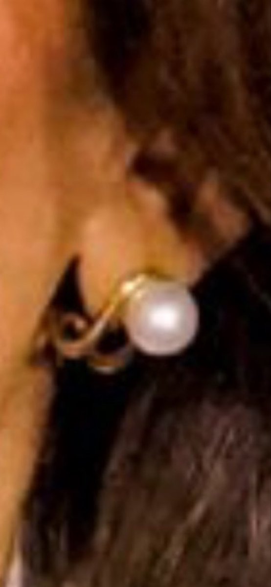 jamesma79201438's tweet photo. @RealAlexJones Idk man, I hate where our country is headed either way but they don’t even look close to the same as the Bluetooth pearls https://t.co/WPCmfbEU5I