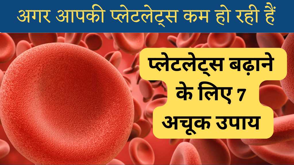 MarvelPathlab's tweet photo. प्लेटलेट्स की कमी का समाधान खोज रहे हैं? हमारी नई पोस्ट में जानें 7 सरल और प्रभावी उपाय! 📈🩺 यहाँ देखें https://t.co/MBZ7Qmk6TM