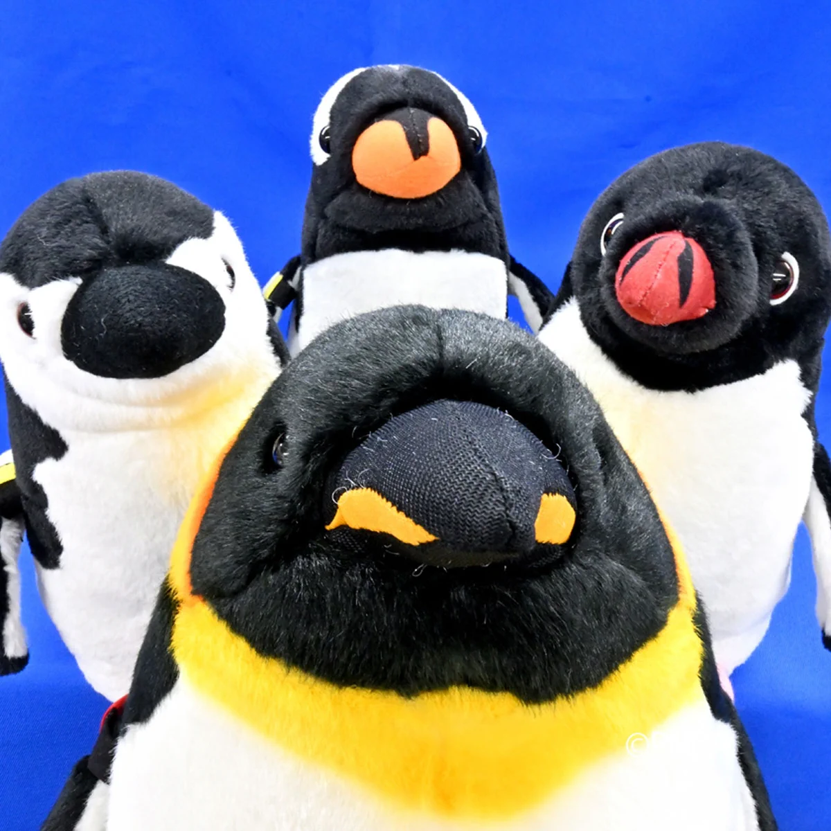 GXLLpabaEAAE-VB?format=webp&