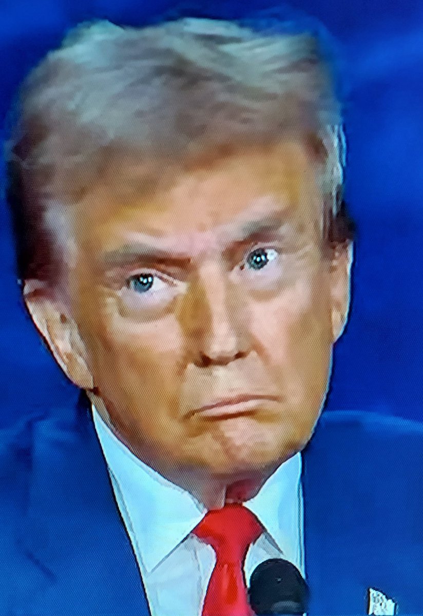 Joshua_Iron's tweet photo. @Timodc @samstein The moment Trump made a poopie in his Depends because Kamala made fun of his rallies. Or, was it when  Taylor Swift launched her Pussy's Revenge Tour on behalf of cat ladies? #KamalaHarris #debate2024 #TaylorSwiftEndorsement https://t.co/4myO7UD4se