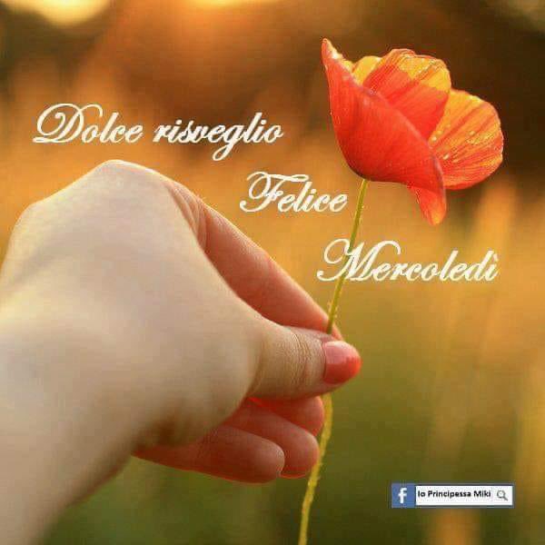 RITABIANCHi56 tweet media