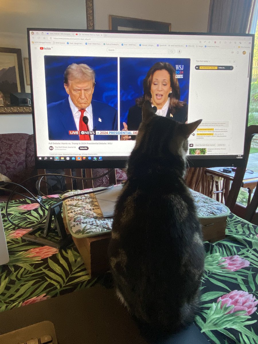 #thecatshavespoken #catlady The cats have spoken - KH for the win. 🏅