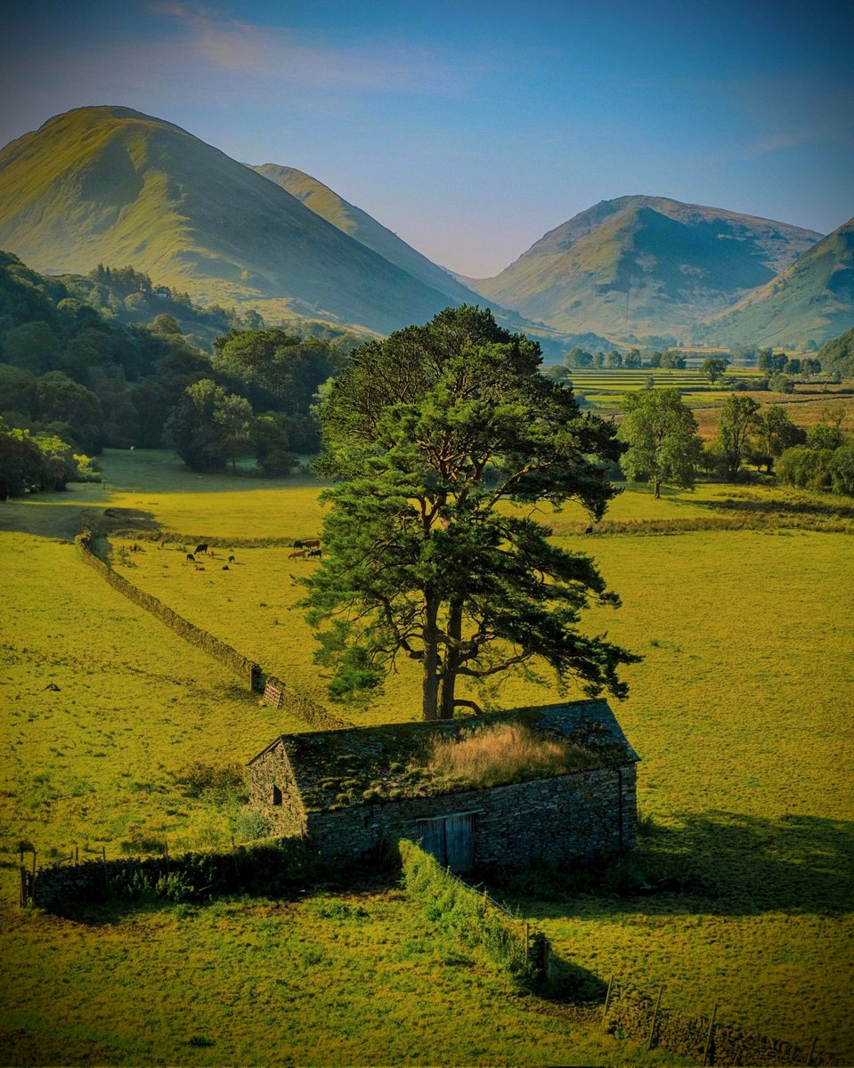 Rod Hutchinson tweet media