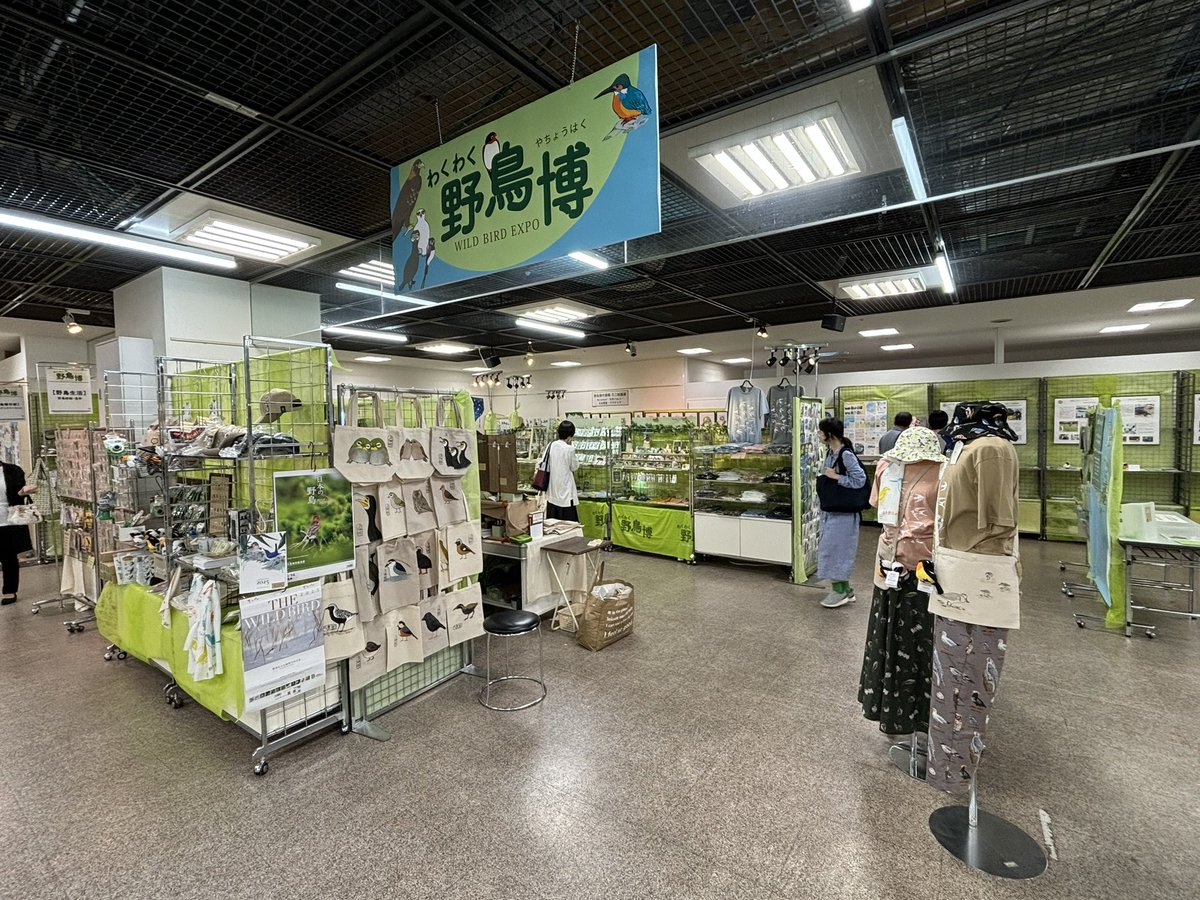 HureshumaReiko's tweet image. 横浜での #わくわく野鳥博 閉幕しました。足をお運び頂いた皆さま、ありがとうございました。
関係者の皆さま、大変お世話になりました。
次回へ向けて、制作に励みたいと思います。