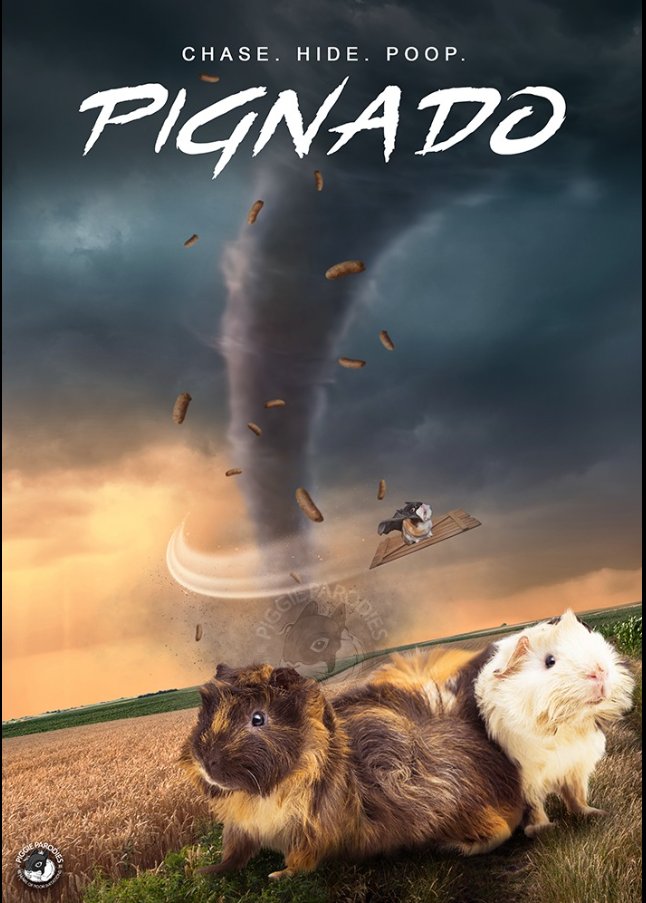 Photo Credit : Piggie Parodies ( Facebook Page)