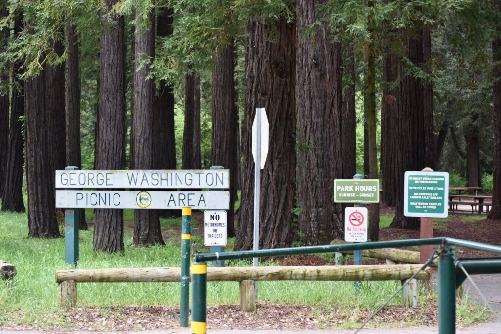 Charges downgraded in DeLaveaga Park homicide dlvr.it/TD5GVY