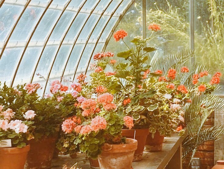 ㅤㅤ
ㅤㅤ.˙❀⋆ ㅤㅤGARDENING  CLUB
ㅤㅤ“𝑳et's  touch  some  grass.”
ㅤㅤ