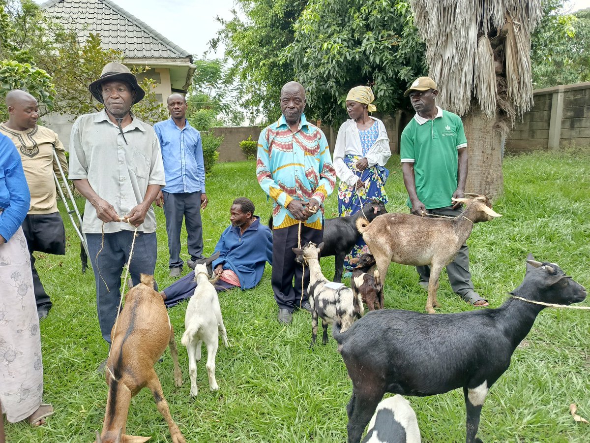 GlpcUg's tweet photo. Sustainable Outcomes for Disaster-Affected Households in Bulembya: Project Update
@GlpcUg has successfully completed the handover of 25 goats to 25 beneficiary households,...
1/
@giz_uganda | #SpiritInAction
#ClimateChange
#ClimateConflictSecurityPeace
#SDG13 https://t.co/XzT5mmlQaO