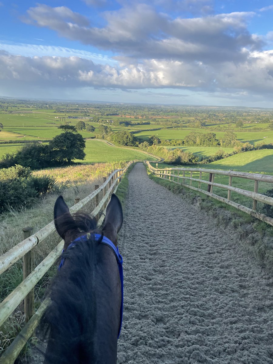 Charlie Davies tweet media