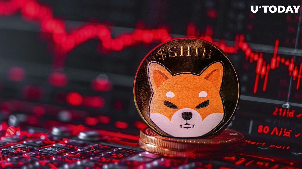 Concerns rising about EVER SHIFTING #Crypto trends🤨

🚀 #Bitcoin hits $56K! Could this be the start of the next bull run? 

😬 Meme coins like #ShibaInu losing steam, but AI coins are on the rise! 🔥

📈 Investors are moving from meme coins to AI-based assets—future of #crypto