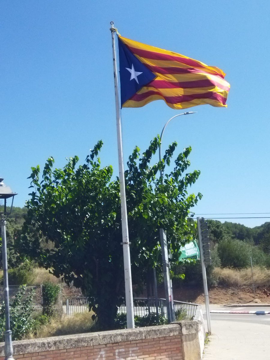 ANC_T_704's tweet photo. Bona Diada Nacional! Hi som, hi serem!
#11STornemAlsCarrers #independència https://t.co/5mWgslT3LU