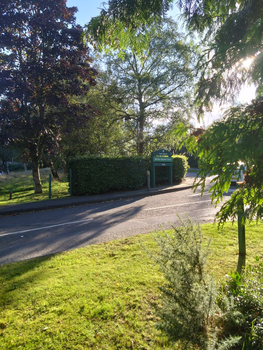 Blessed with gorgeous weather in today's beautiful workplace. 
Learning about sylviculture!
