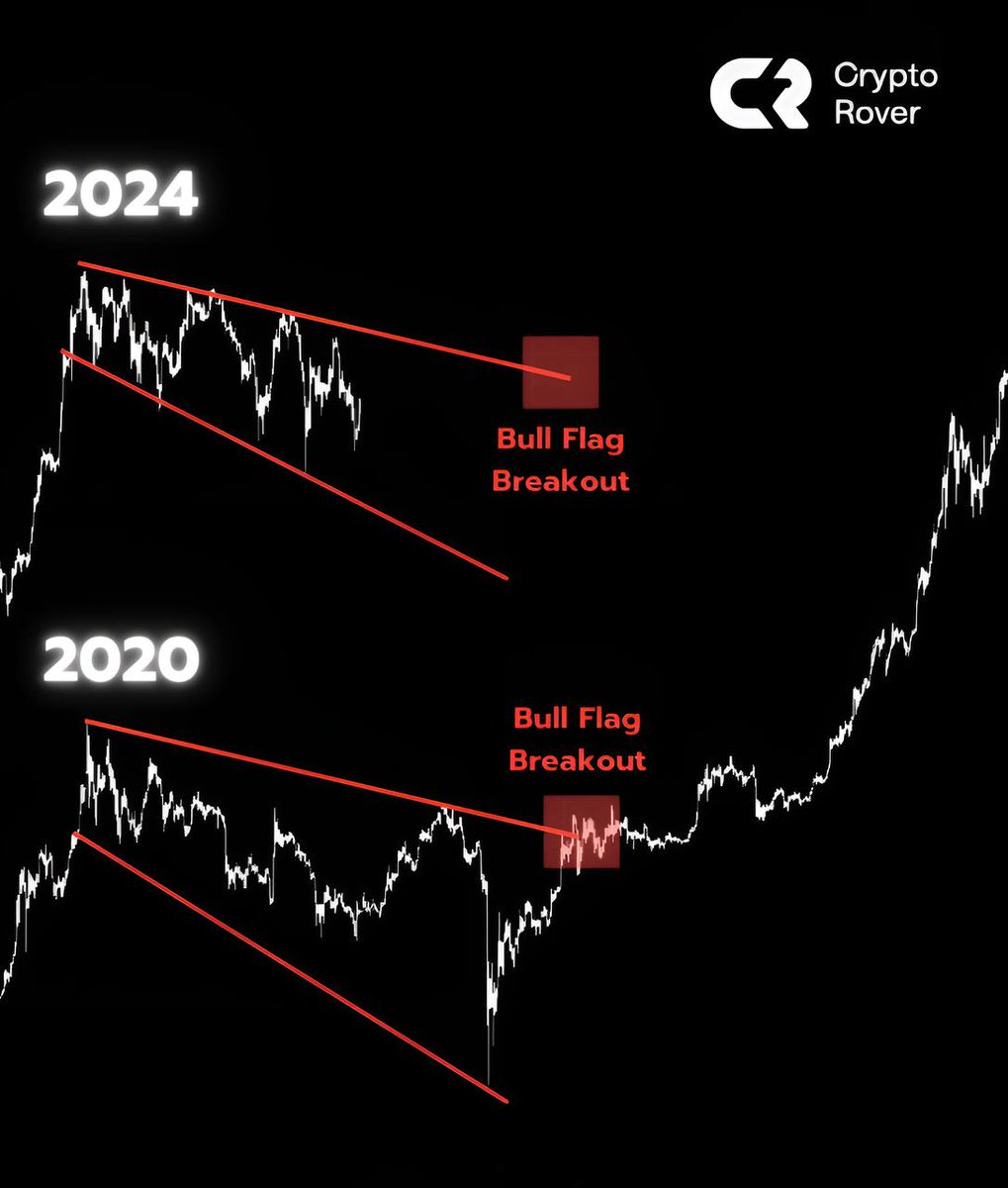 Crypto Rover tweet media