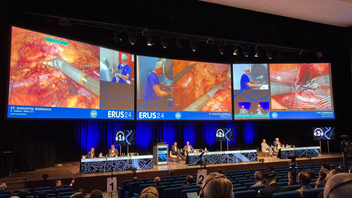 En Bordeaux. ERUS2024. Será espléndido