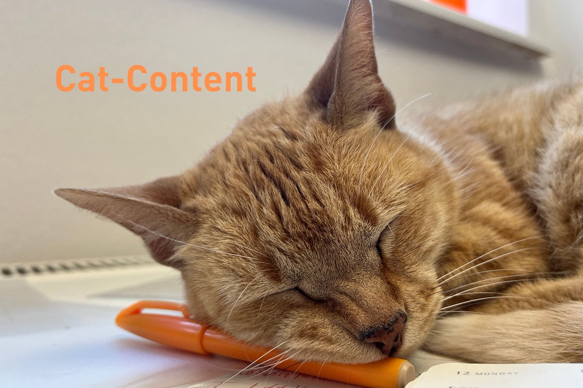 Die Ursprünge von Cat-Content liegen vermutlich in der Antike, als die Ägypter zwischen Kreuzzügen und Gladiatorenkämpfen zur Entspannung gerne mal ein Kätzchen ins Netz stellten.
#cat #catpic #catcontent #story #storytelling #txtfluencer #content #text #texter #technik #giessen