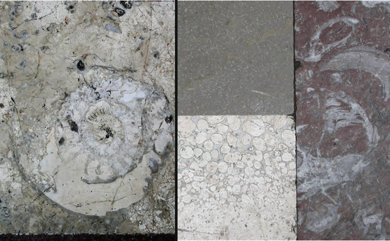 EducaUGR tweet media