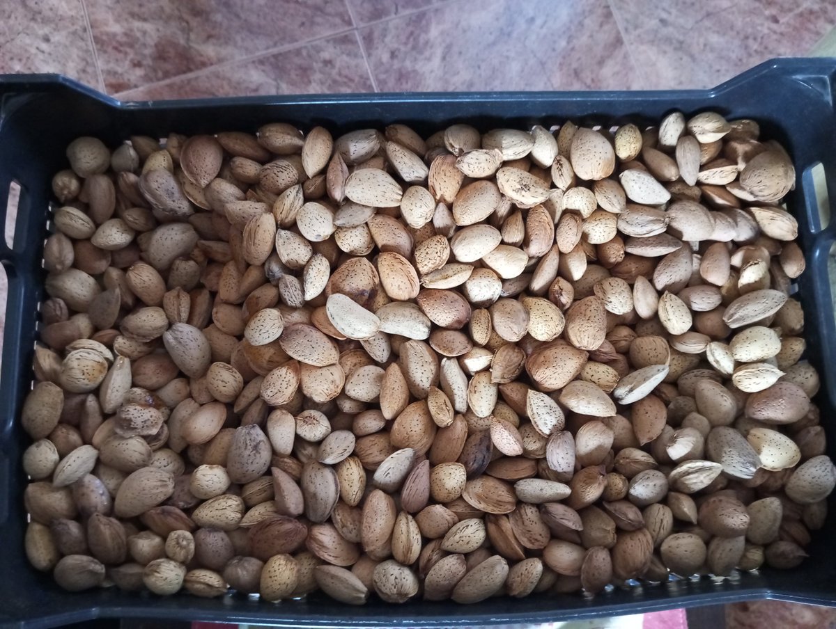 Patricia Llaneza tweet media