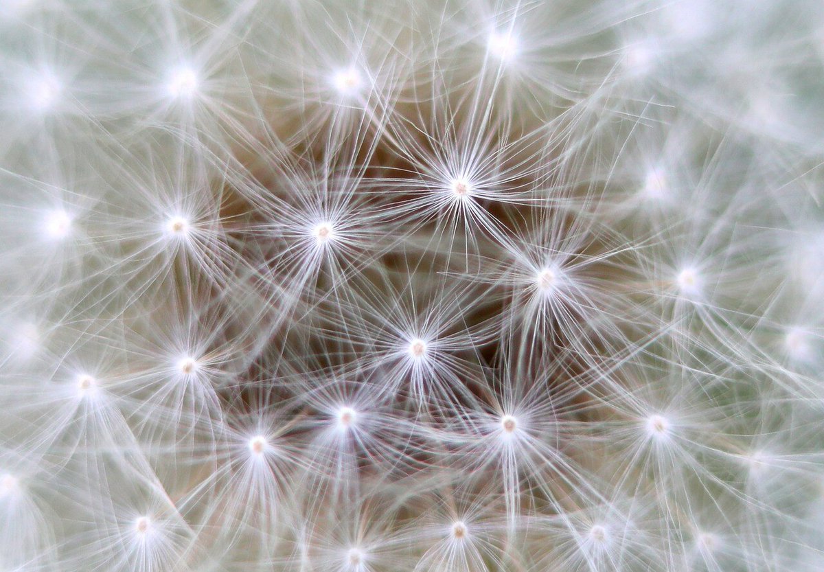 Let's stay connected! We're over on LinkedIn and even run an #AFMCommunity group over there - why not check it out as a place to be with likeminded researchers sharing information about #AFM hubs.li/Q02P5h1N0