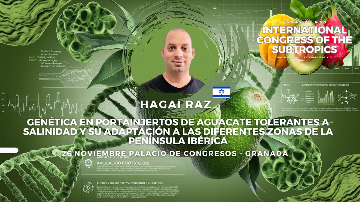 granadamas's tweet photo. 🌱 ¡Prepárate para la charla de Mr. Hagai Raz sobre genética en portainjertos de aguacate el 26 de noviembre en Granada! Descubre cómo adaptar estas técnicas a la Península Ibérica. 🌍 🔗Inscripciones 👉 https://t.co/X25NwrCXd3 #subtropicales2024 #Agricultura #Genética #Aguacate https://t.co/UiXi5xbIfl