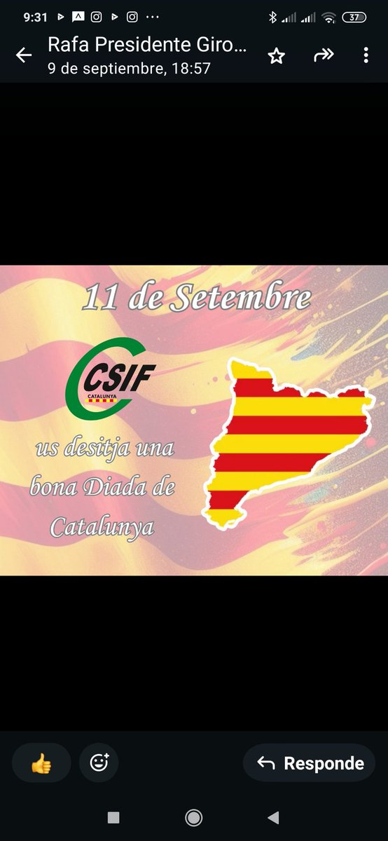 CSIFLLEIDA tweet media