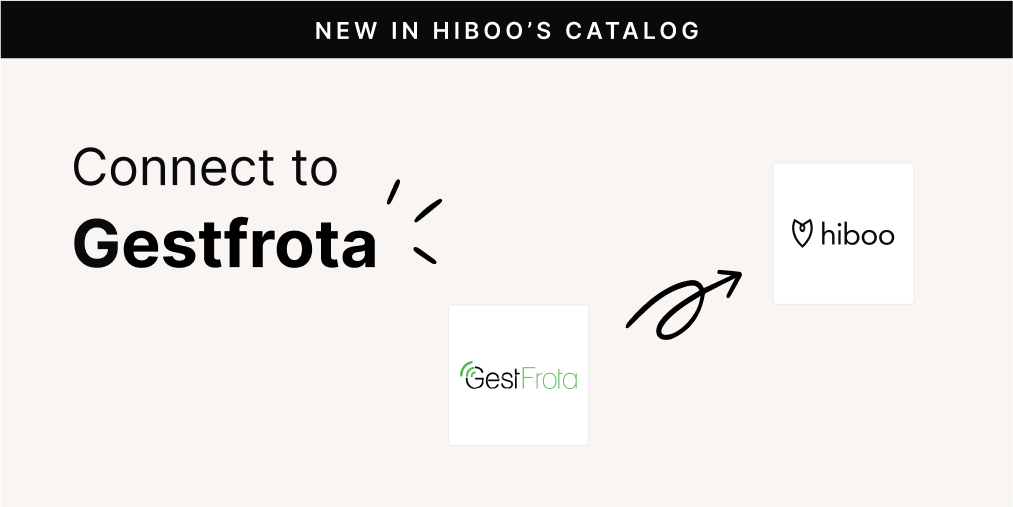 Hiboo tweet media