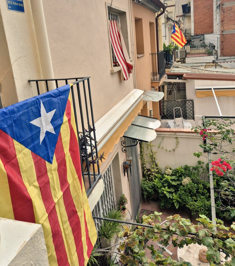 Bona #Diada2024
Des d'Horta,  #Catalunya