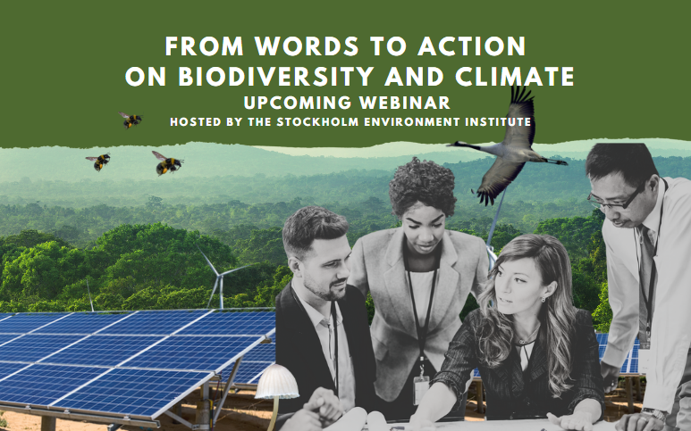 The climate &amp; biodiversity crises are intertwined &amp; must be tackled together, as outlined in the joint <a href="/IPBES/">ipbes</a> &amp; <a href="/IPCC_CH/">IPCC</a> workshop report: zenodo.org/records/5101133

The organizations' Chairs and <a href="/SEIresearch/">SEI Research</a> will address this important topic on 17 Sept. 

sei.org/events/from-wo…