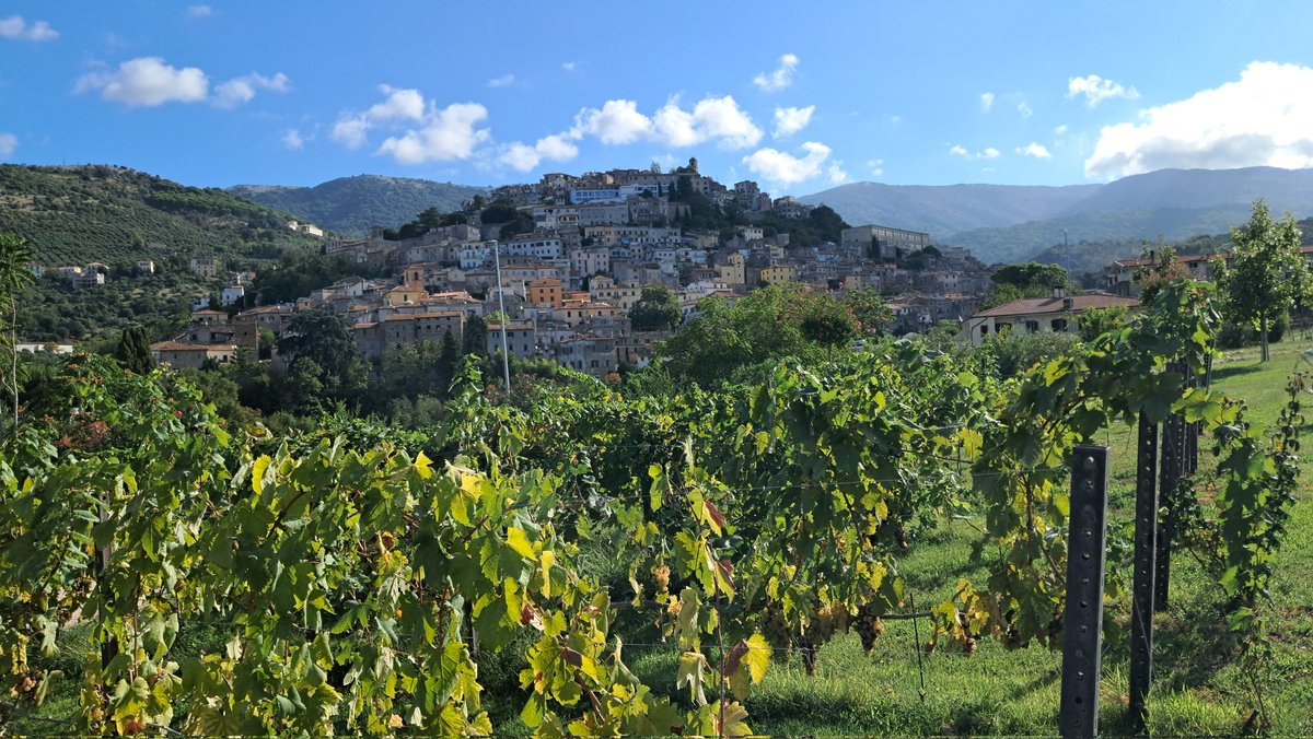 LegaCoopLazio's tweet photo. Nel bellissimo scenario della città di Cori e dei vigneti della cooperativa @cincinnatovini, sta per iniziare l'assemblea di Legacoop Agroalimentare Lazio https://t.co/wkiZP0VhSV