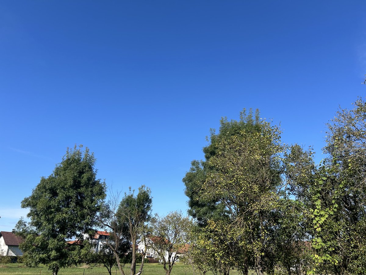 Sah erst gar nicht so wirklich danach aus. Ist aber doch noch ein schöner Tag geworden - vom Wetter her.