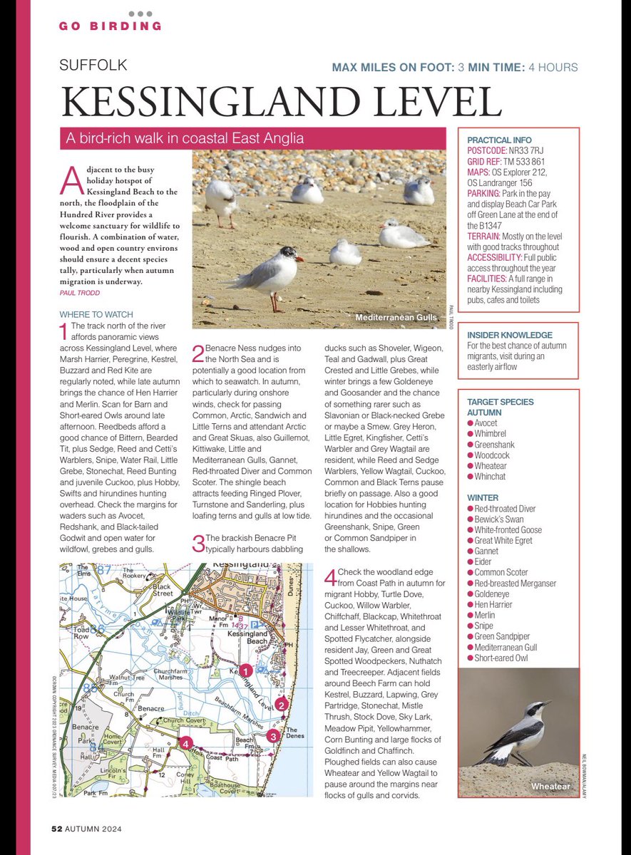 Local birders must read this! It’s hilarious! It’s from Birdwatching magazine. The guy that wrote it has clearly never been here. Section 3 on Benacre Pit is especially amusing