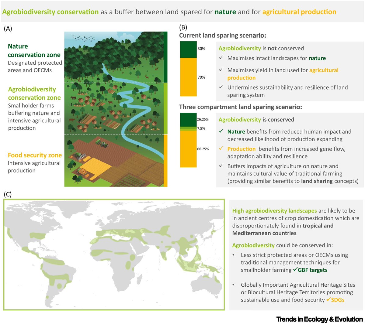 Prof Richard Buggs (@rjabuggs) on Twitter photo Latest from <a href="/SophieJago18/">Sophie Jago</a> and <a href="/James_Borrell/">Dr James Borrell</a> @KewScience in <a href="/Trends_Ecol_Evo/">Trends in Ecology & Evolution</a>
"Agrobiodiversity conservation enables sustainable and equitable land sparing" cell.com/trends/ecology… Latest from <a href="/SophieJago18/">Sophie Jago</a> and <a href="/James_Borrell/">Dr James Borrell</a> @KewScience in <a href="/Trends_Ecol_Evo/">Trends in Ecology & Evolution</a>
"Agrobiodiversity conservation enables sustainable and equitable land sparing" cell.com/trends/ecology…