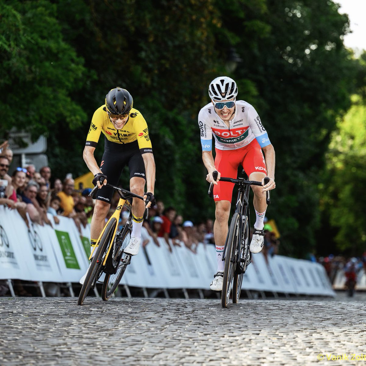 🎖️ The pride of representing your country, the pride of a team that sees its members fulfilling their dreams.

🇮🇹 <a href="/mircomaestri9/">Mirco Maestri</a> and <a href="/fettererik/">Erik Fetter</a> will compete in the European Road Championships next Sunday in Limburg 🇪🇺

<a href="/mauri_borserini/">Maurizio Borserini</a> <a href="/SprintCycling/">SprintCycling</a> &amp; Vanik Zoltan