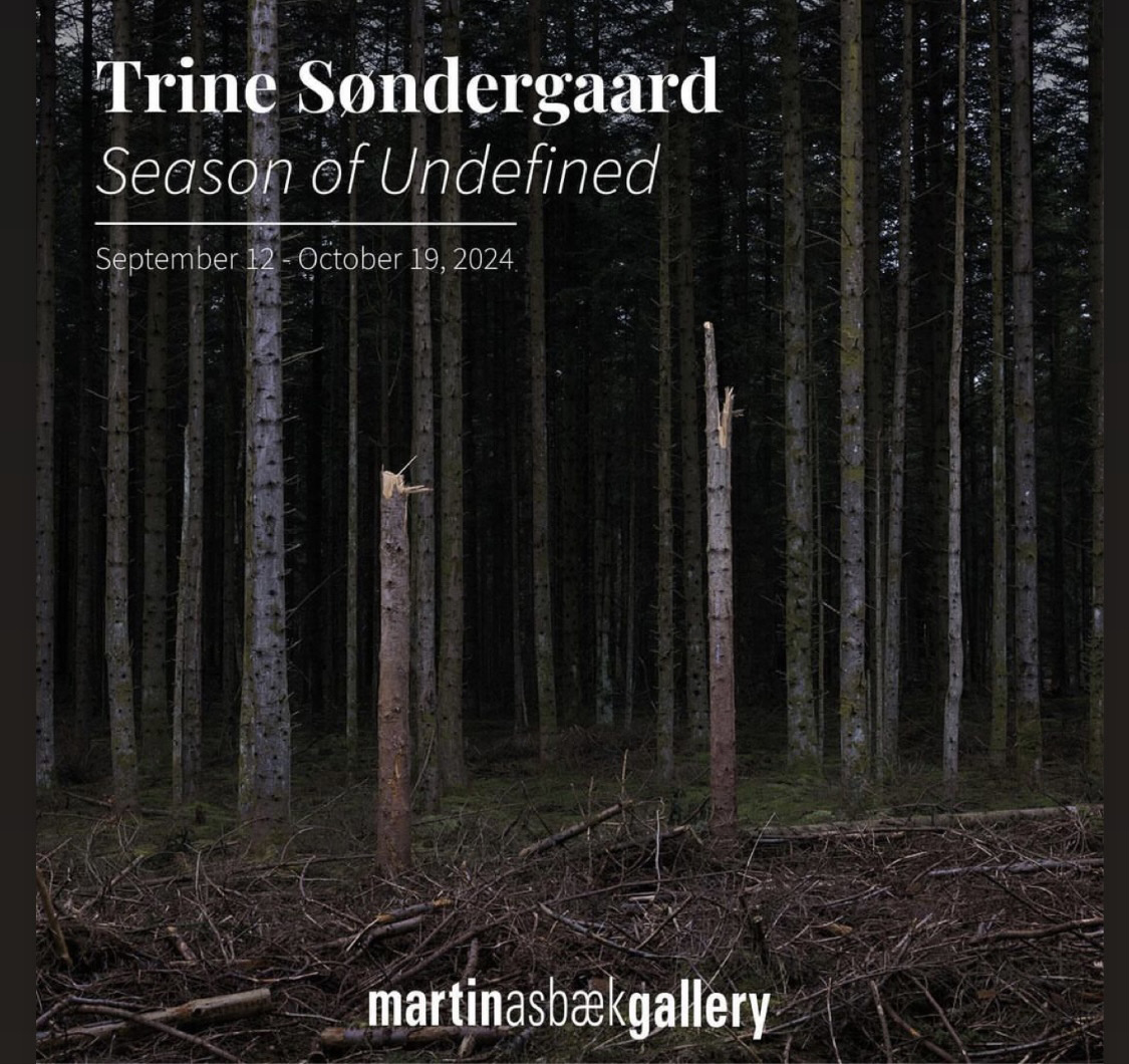 tabithasoren's tweet image. TONIGHT - if you&apos;re near Copenhagen 🇩🇰 come to Trine Sondergaard&apos;s art opening @martinasbaekgallery. I got a sneak preview of Trine&apos;s new work when I dropped by her studio this summer. We drank coffee out of beautiful cups and ate teeny tiny cakes worthy of #NOMA (#yeschef).